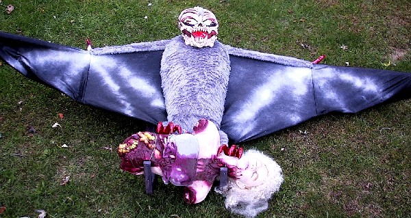 The Bat Thing