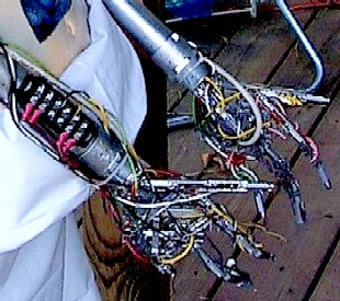 Female Cyborg Hands