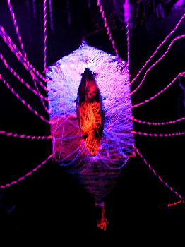 The String Monster