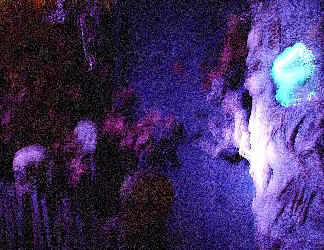 Black Lit Tree