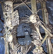 Bone Detail Photo 3