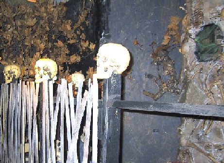 Skeleton Tree Fence