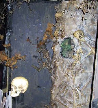 The Skeleton Tree