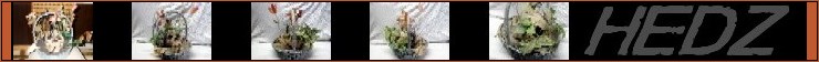 Algernon Photo Selection Strip