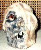 Creeops Prop Small Photo
