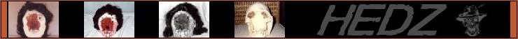 Defaced Photo Selection Strip