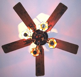 Celing Fan straight on