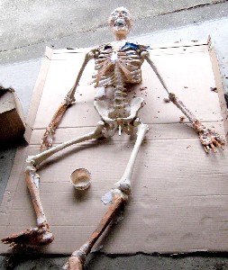 Skeleton with latex applied lying flat
