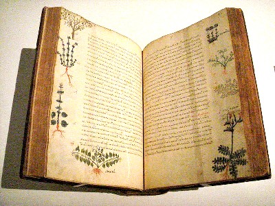 15th Century De Materia Medica by Diascorides