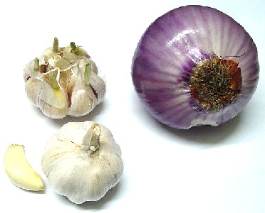 Garlic and Onion