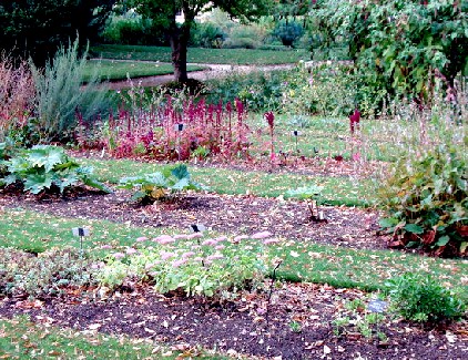 Order Beds, Oxford University Botanical Gardens