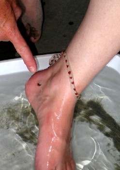 Stingray Sting