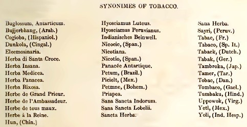 what are other names for tobacco The Pirate Surgeon's Journal: Golden Age of Piracy: Tobacco and Medicine  Page 4