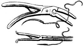 Pierre Dionis' Amputation Forceps