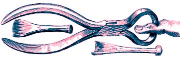 Amputation chisels and nippers - Woodall
