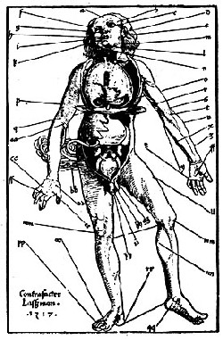 Bloodletting Chart, 1517
