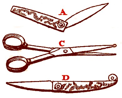 Scalp Cutting Instruments, Dionis