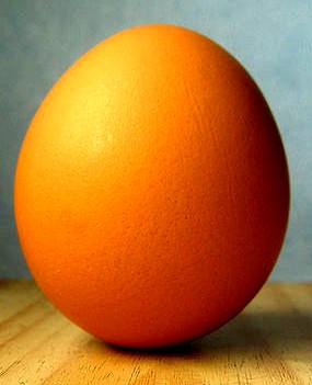 Brown Egg