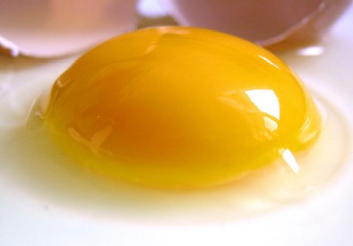Egg Close Up