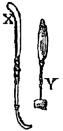 Dionis' Eye Instruments X and Y