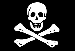Crossed Bones Pirate Flag