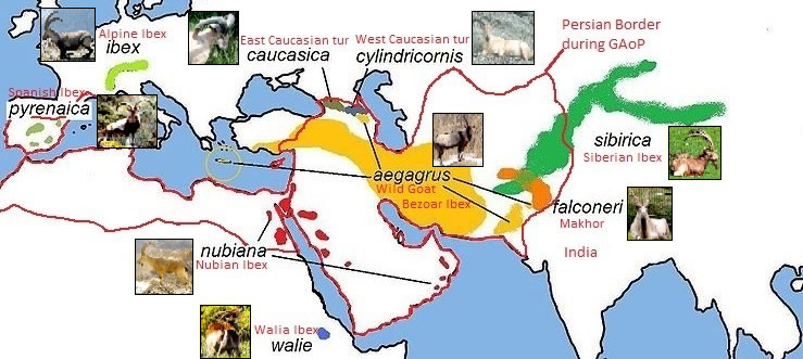 Distribution of Goats in Persia