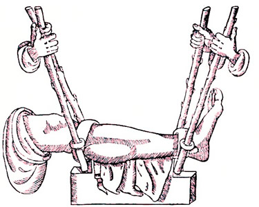 Leg Extension by Galen