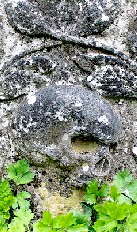 Skull on Chest Tomb