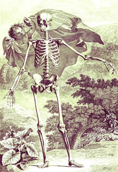 Skeleton and Cherub