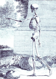 Skeleton Walking in Front of Monument