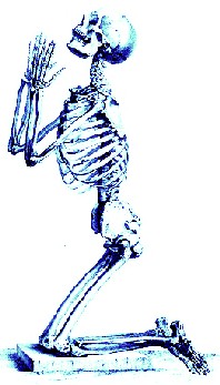 Skeleton Praying