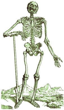 Skeleton Digging