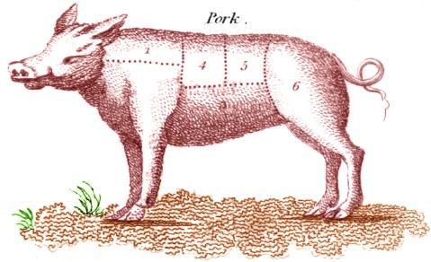 Cuts of Pork, 1808