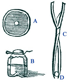 Potential Cautery and Tools