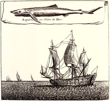 Shark and Ship, Labat