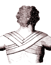 Spica Shoulder Bandage