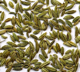 Fennel Seeds