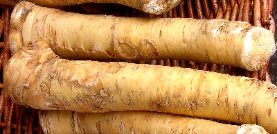 Horseradish Root