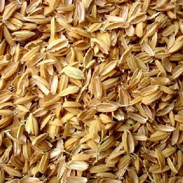 Rice Chaff