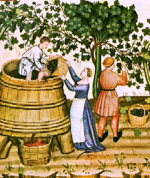 Making Wine