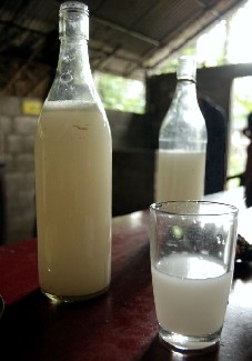 Arrack or Palm Wine