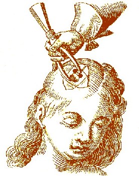 Using Forceps on the Cranium