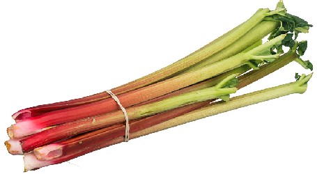 Rhubarb